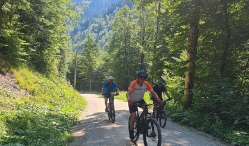 Artikelbild zu Artikel Bericht MTB-Tour Rötelmoosalmen und Jochbergalm am Mittwoch, 29. Juli 2026